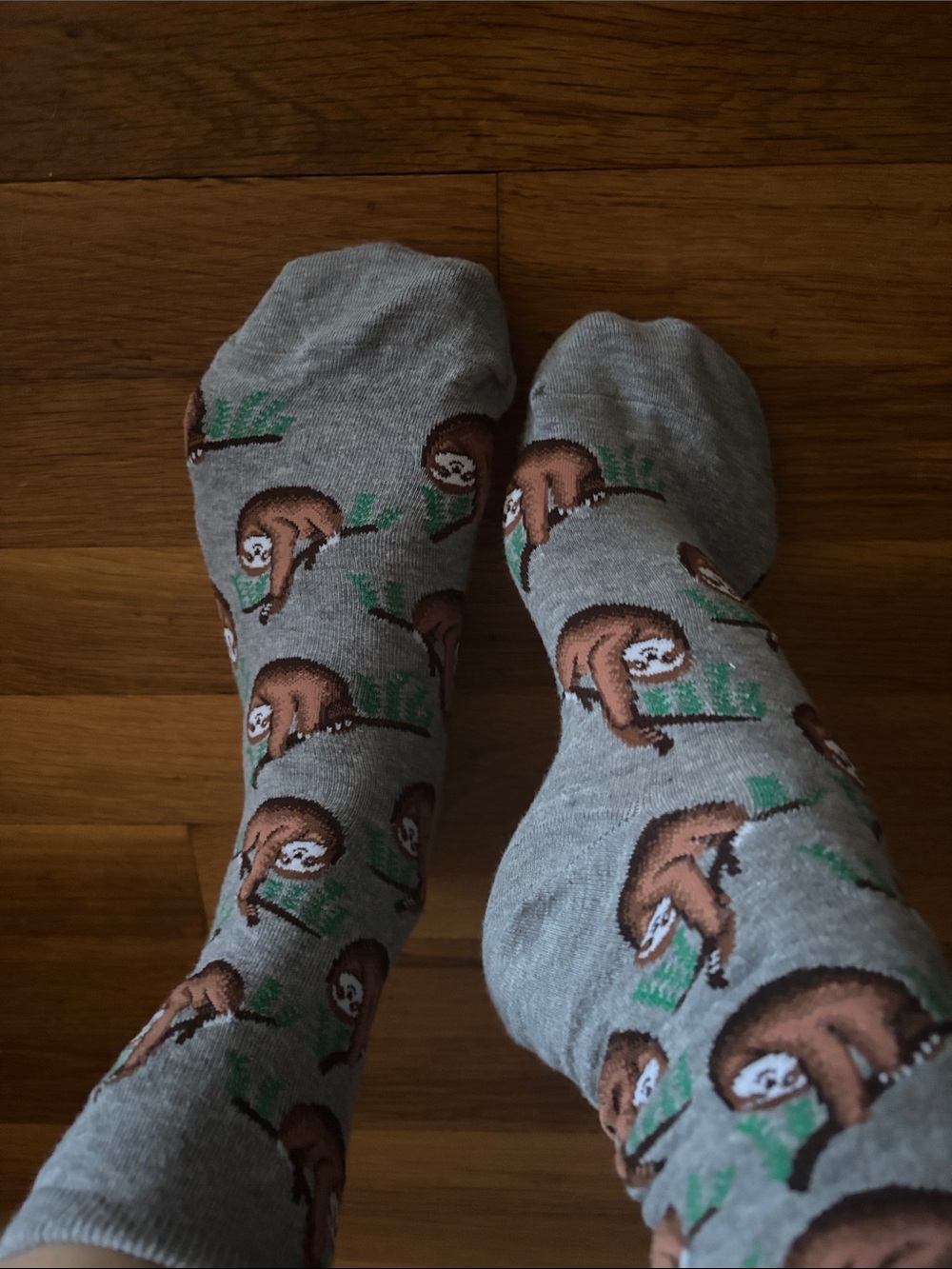 Women's  Grey Sloth Pattern Crew Socks